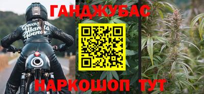 шишки Тверь